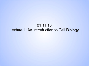 Lecture 1: Introduction to Cell Biology
