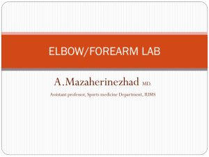 ELBOW/FOREARM LAB
