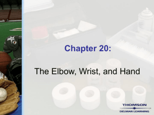 Chapter 20 - The Elbow, Wrist, and Hand