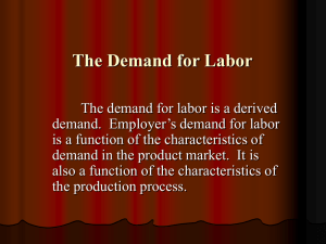Lecture 4: The Demand for Labor