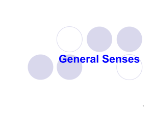 General Senses - IWS2.collin.edu
