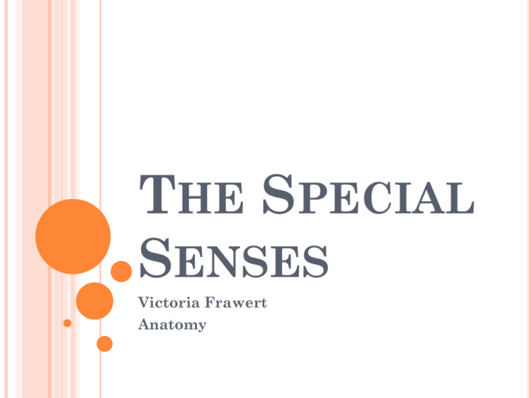 special-senses