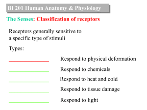 BI 201 Human Anatomy & Physiology The General Senses: Pain
