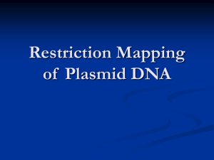 Restriction Mapping of Plasmid DNA