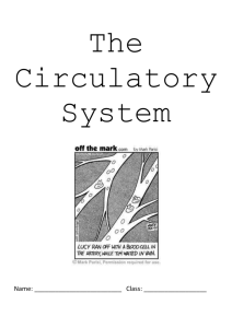 The Circulatory System Wrokbook