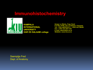The basics of immunohistochemistry