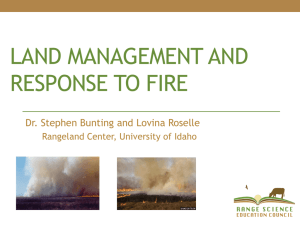 Land Management and Fire