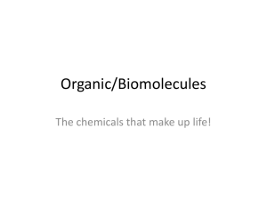 Organic/Biomolecules