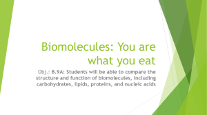 Biomolecules: You are what you eat