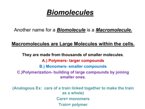 Biomolecules - Dickinson ISD