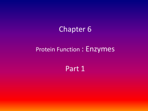Chapter 6 Protein Function Part 2: Enzymes