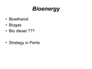 ptt307 Presentation8 bioenergy