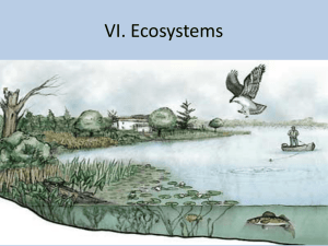 VI. Ecosystems
