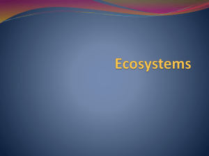 Ecosystems Presentation