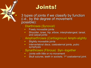 Joints! - Bremen High School District 228