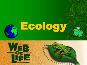 Chapter 29 basic Ecology