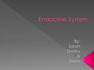 Endocrine System - upsd.wednet.edu