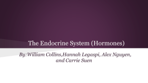 The Endocrine System (Hormones)