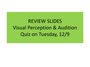 Review Slides_Visual Perception & Audition
