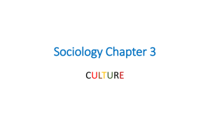 Sociology Chapter 3