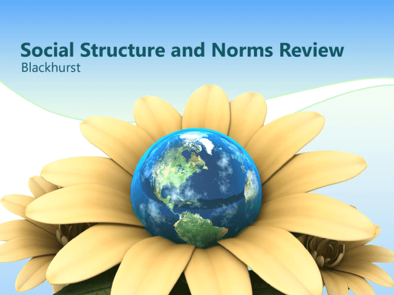 Social Structure And Norms Review