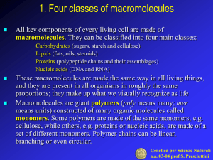 Biological monomers and polymers (1)