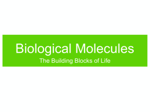 Biological Molecules