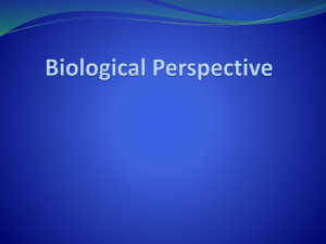 Biological perspective updated Nov 17 Biological