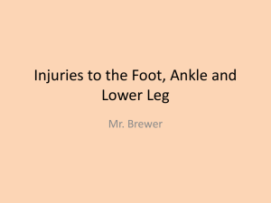 Injuries to the Foot, Ankle and Lower Leg