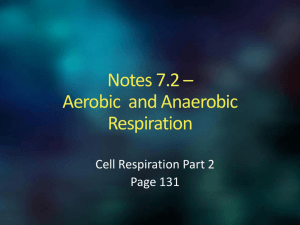 Aerobic & Anaerobic respiration