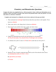 Acc_Bio_Organic_Molecules_Questions_Key