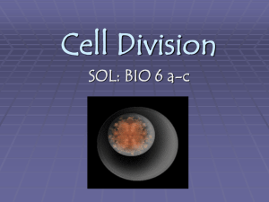 Meiosis Notes