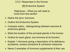 3.5.3 Human Responses Endocrine System