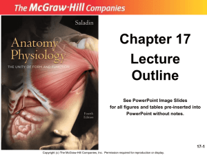 Chapter 17 - McGraw Hill Higher Education