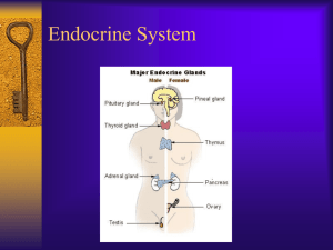 Endocrine System Diseases and Disorders