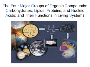 The Four major Groups of