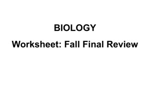 PowerPoint: Worksheet-Fall Final Review