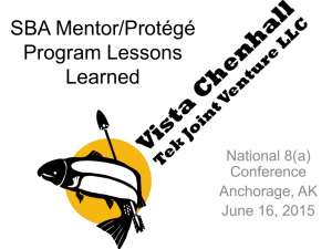 SBA Mentor/Protégé Program Lessons Learned