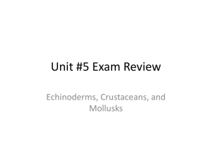Unit #5 Exam Review