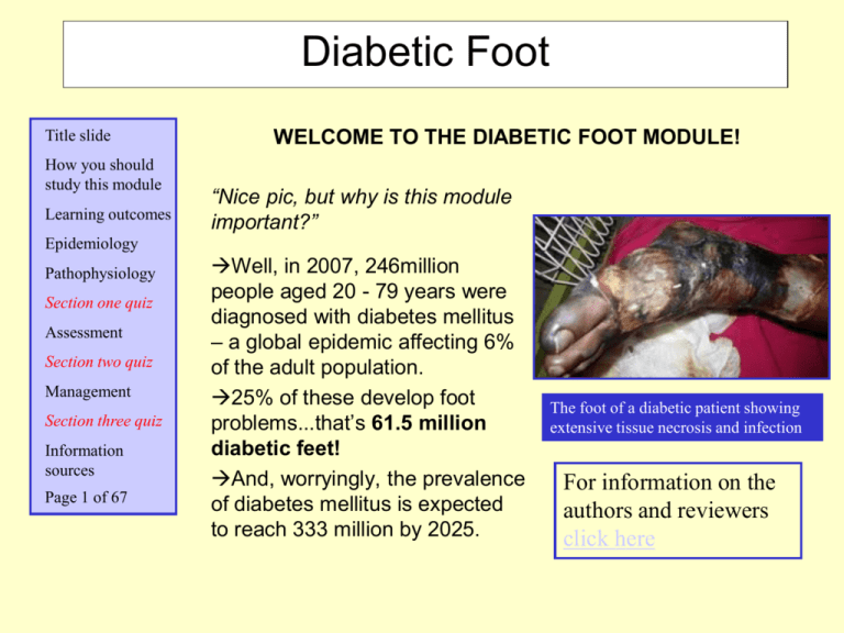 diabetic foot thesis topics
