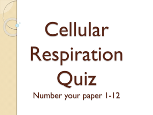 Cellular Respiration Quiz