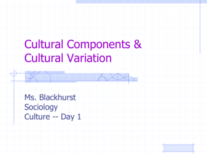 Cultural Components & Cultural Variation