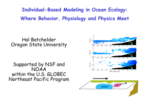 Individual Based Modeling in Ocean Ecology