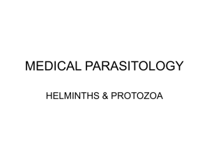 Helminths & Protozoa