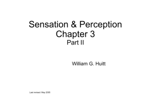 General Psychology: Perception - Educational Psychology Interactive