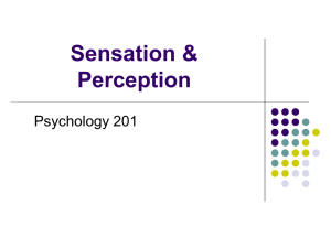 The Psychology of Color Perception