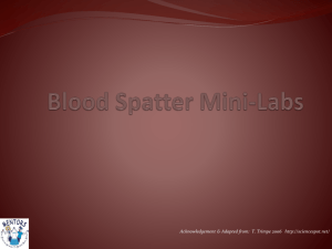 Lesson 2 - Blood Spatter Mini-Labs