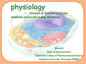 Plasma membrane