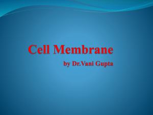 Cell Membrane by Dr. Vani Gupta [PPT]