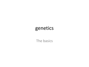 genetics basics